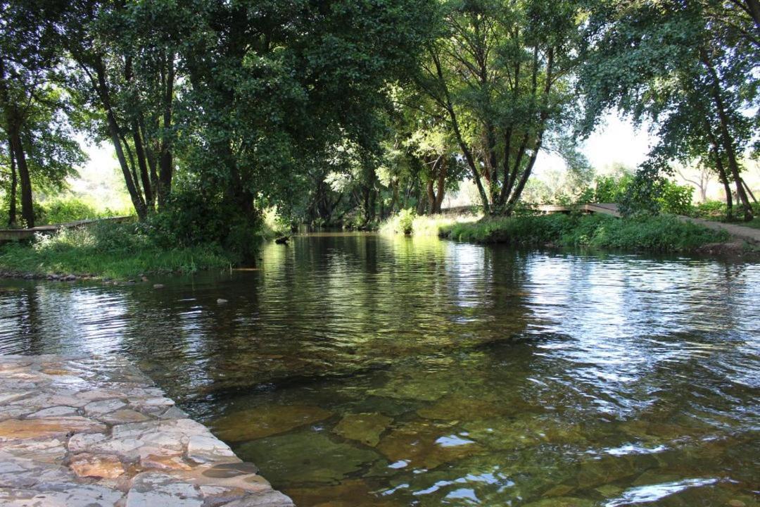 Casa Rural La Jara Konuk evi La Codosera Dış mekan fotoğraf